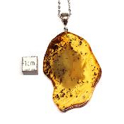 Ambre de la Baltique Pendentif 3092