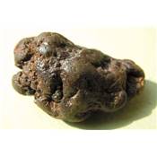Marcassite Nodule Pierre Brute