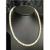 Perles d'Eau Douce Blanche - Collier Perles Ronde