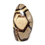 Septaria Forme Libre 08368