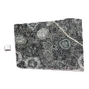 Diorite Orbiculaire Plaque 09491