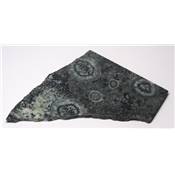 Diorite Orbiculaire Plaque 11920