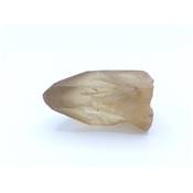 Citrine Naturelle Pointe Brute 13016