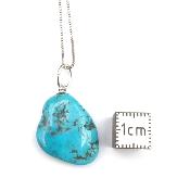Turquoise Sleeping Beauty Pendentif 14372