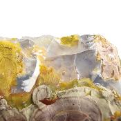 Opale de l'Oregon Pierre Brute 14956
