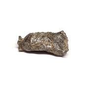 Météorite Sidérite Sikhote-Alin 15173