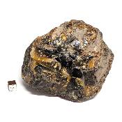 Ambre de Sumatra pierre brute 15223