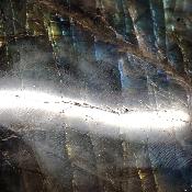 Labradorite Forme Libre 15365