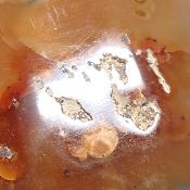 Cornaline chauffée coeur 15480