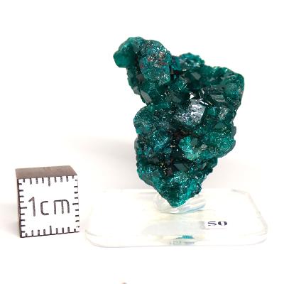 Dioptase Pierre Brute 15785