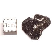 Météorite Sidérite Sikhote-Alin 15987