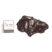 Météorite Sidérite Sikhote-Alin 15989