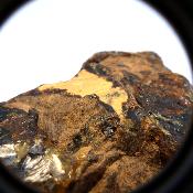Ambre de Sumatra 20064