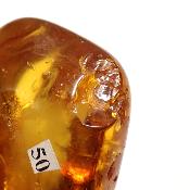 Ambre de la Baltique morceau poli 2037