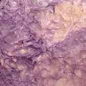 Charoite Tranche 2349