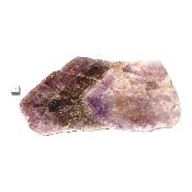 Super Seven Plaque 2367