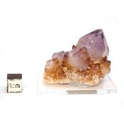 Cristal Cactus Brute 2732