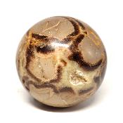 Septaria Boule 2829