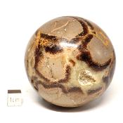 Septaria Boule 2829