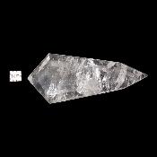 Cristal Vogel Plat 3031