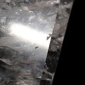 Cristal Vogel Plat 3031