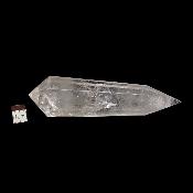 Cristal Vogel 3033