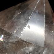 Cristal Vogel 3033