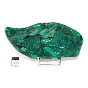 Malachite Morceau Poli n° 05988