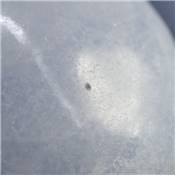 Calcite Bleue Coeur 08829