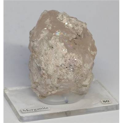 Morganite Pierre Brute 11656