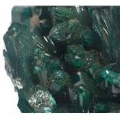 Dioptase Pierre Brute 12841