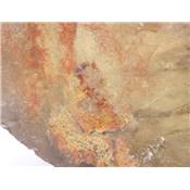 Citrine Naturelle Pointe Brute 13092