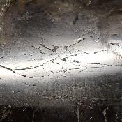 Labradorite Forme Libre 15366