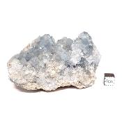 Célestine Pierre brute 15737