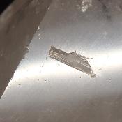 Cristal de Roche Pointe Polie 15858