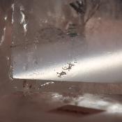 Cristal de Roche Pointe Polie 15904