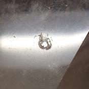 Cristal de Roche Pointe Polie 15934