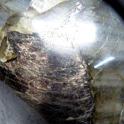 Labradorite Forme Libre 19921