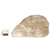 Kunzite morceau poli 2058