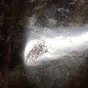 Labradorite Galet 2065