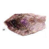 Super Seven Plaque 2068