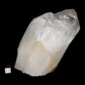 Cristal de Roche Amas 2105