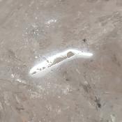 Cristal de Roche Crâne 2146