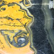 Jaspe Abeille Plaque 2284