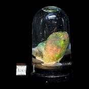 Opale d'Ethiopie Pierre Brute 2295