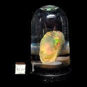 Opale d'Ethiopie Pierre Brute 2295