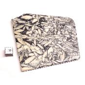 Pinolite Plaque 2333