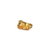 Pépite d'Or 2669