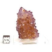 Cristal Cactus Brute 2727