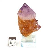 Cristal Cactus Brute 2728